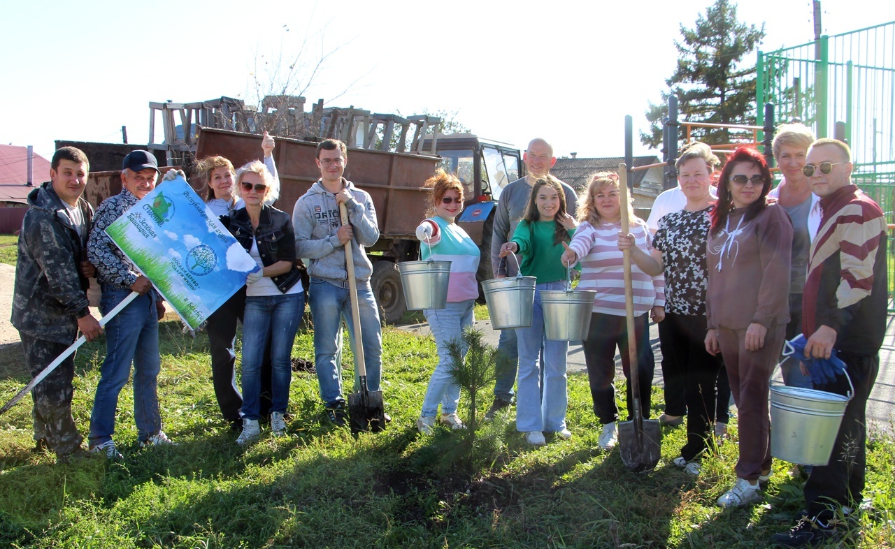 Нарат һәм каен үсентеләре утырттылар