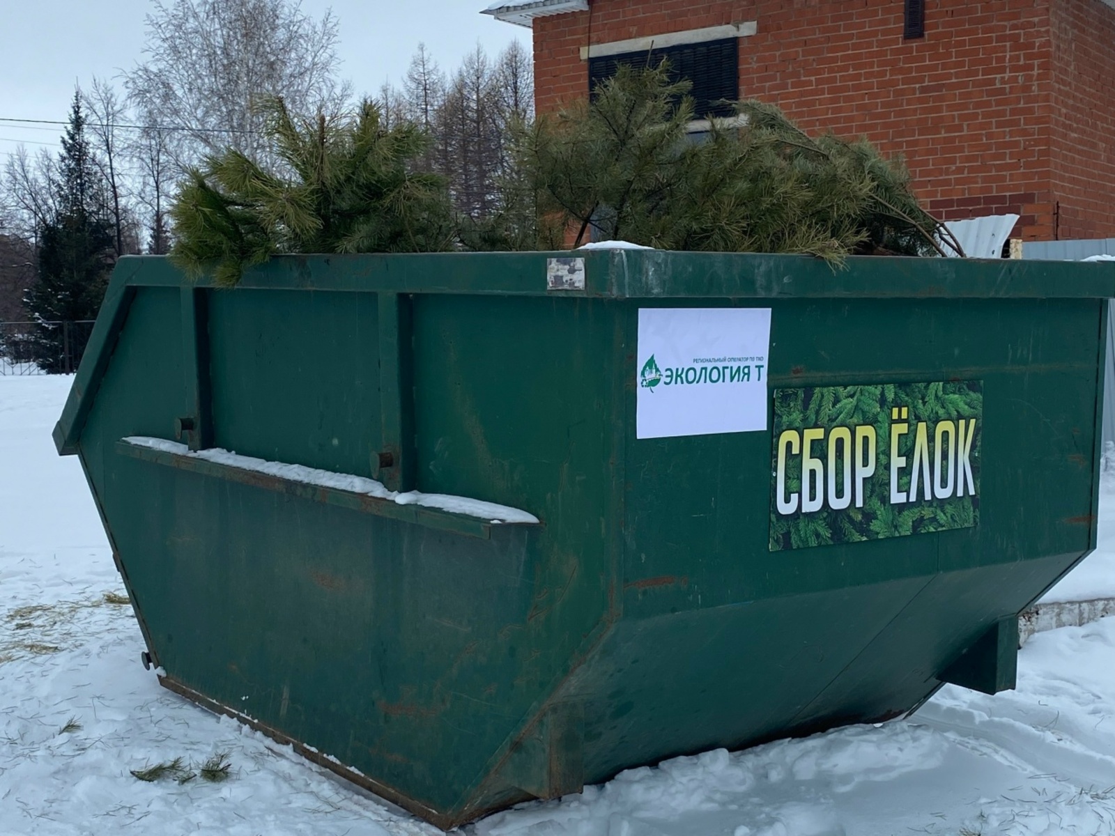 Чыршыны татлы бүләккә алмаш