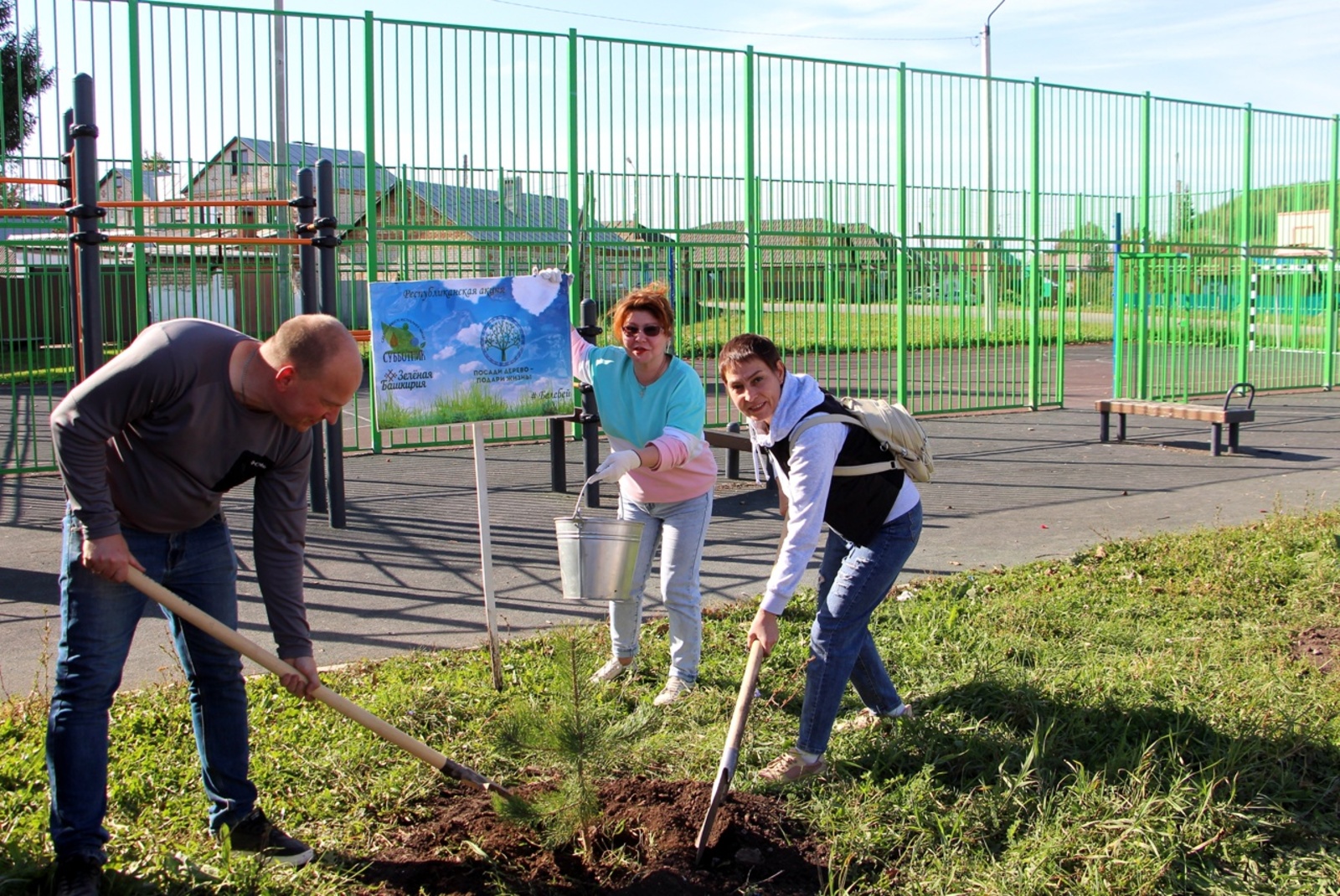 Нарат һәм каен үсентеләре утырттылар