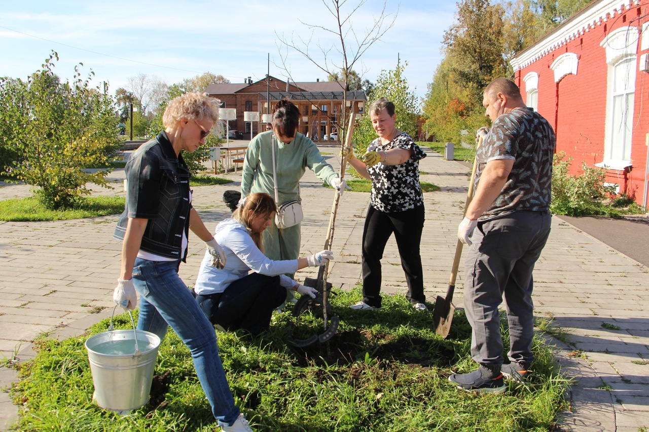 Нарат һәм каен үсентеләре утырттылар
