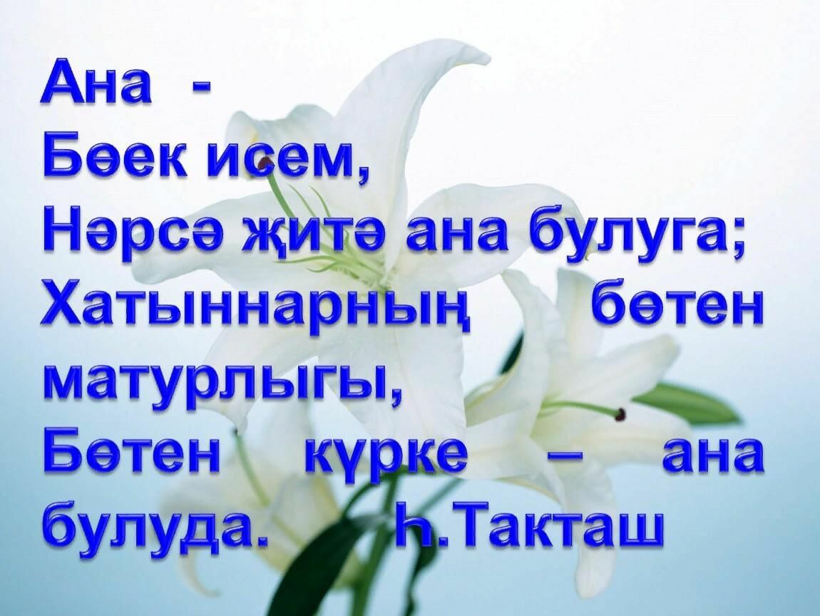 Әни һәм Туган тел, икесе дә бик кадерле...
