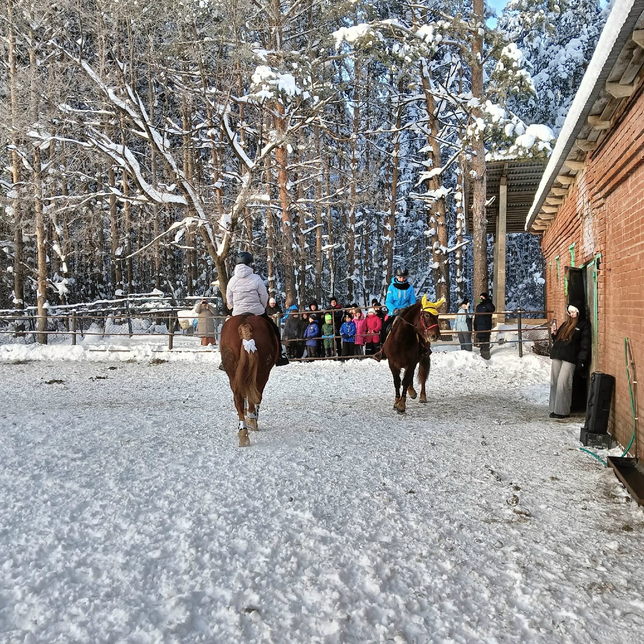 Балалар атлар ярата