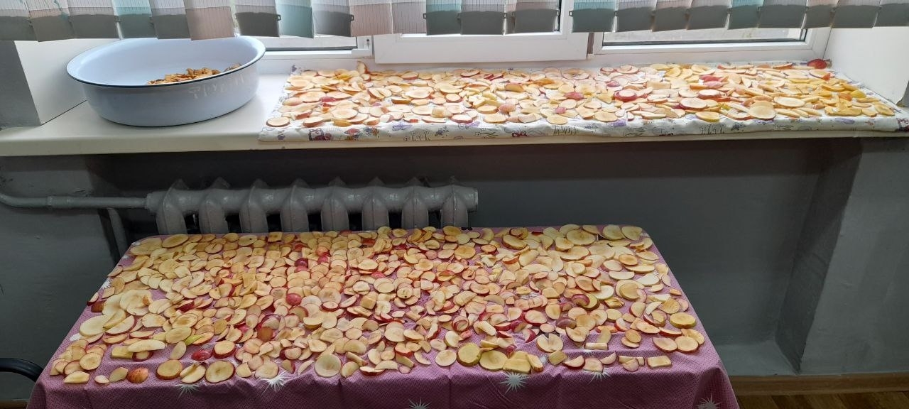 Үзебезнекеләр өчен изгелек алмалары