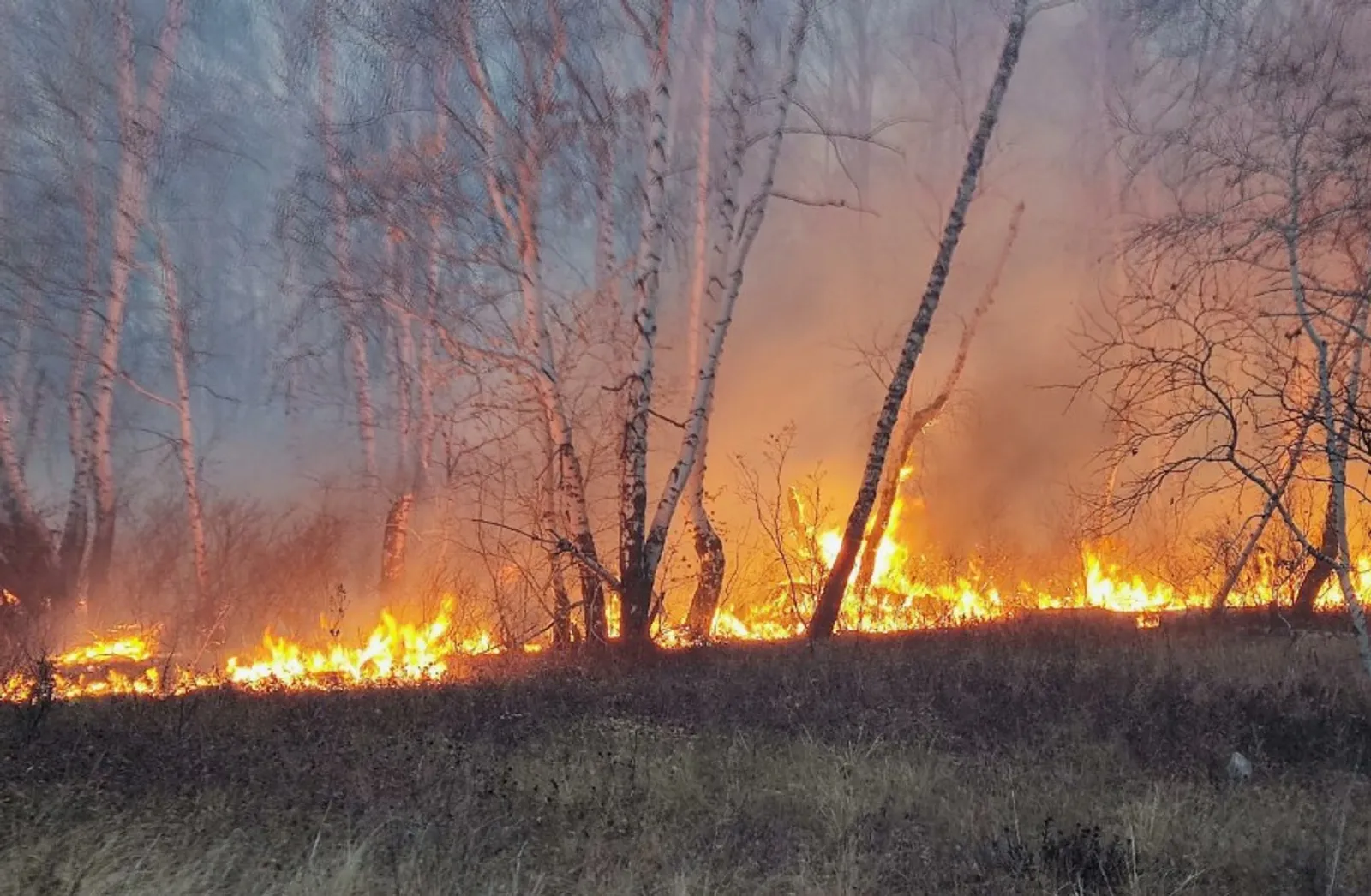 2 миллион сумга кадәр штраф!