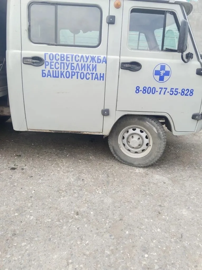 Изге Корбан бәйрәмендә