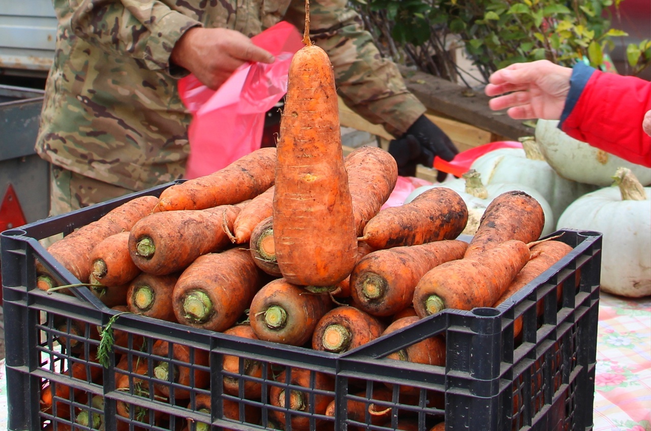 Гөрләп торды бәйрәм ярминкәсе!