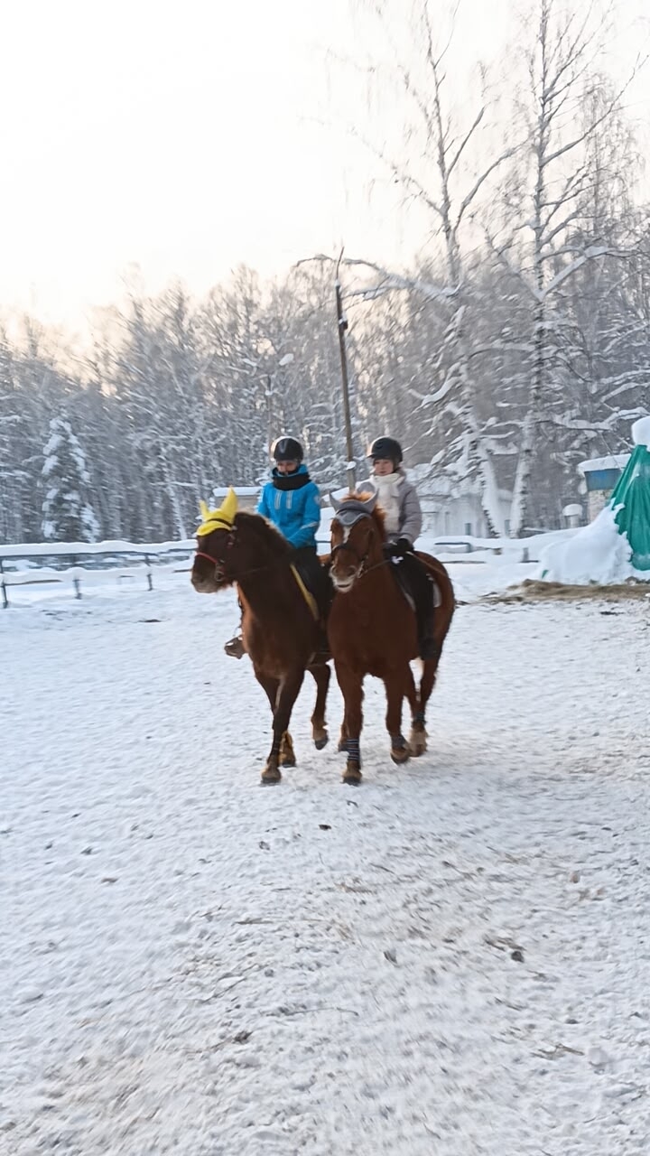 Балалар атлар ярата
