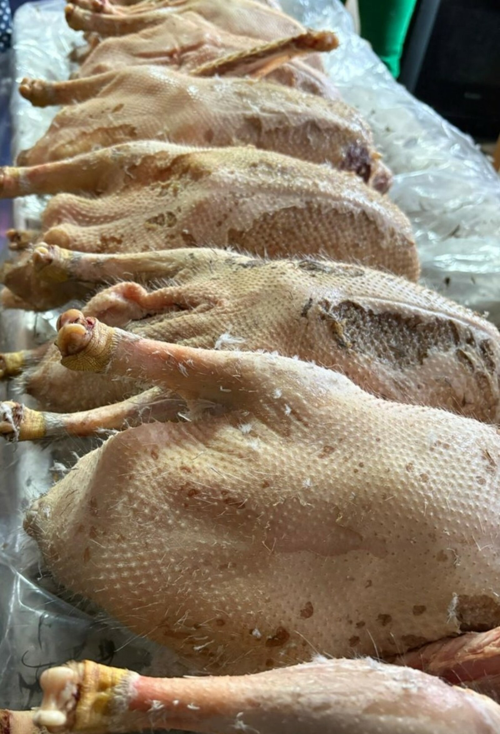 Авылда каз өмәсе