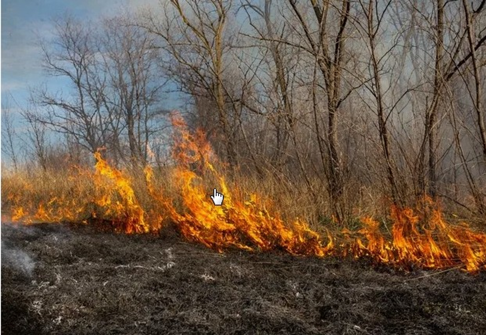 Иминлек  Уяу булырга чакырабыз!