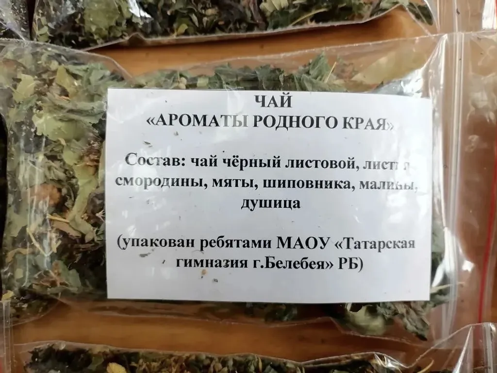 "Шатлык"та тормыш кайный