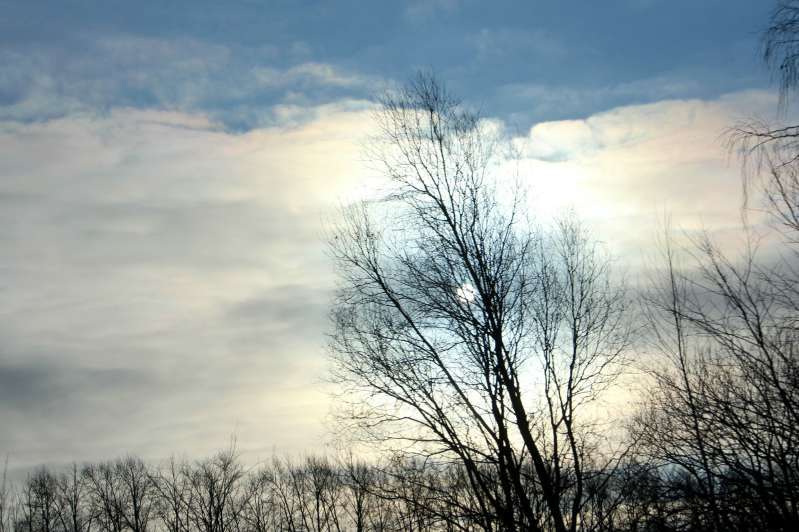 Менә шундый март килә!