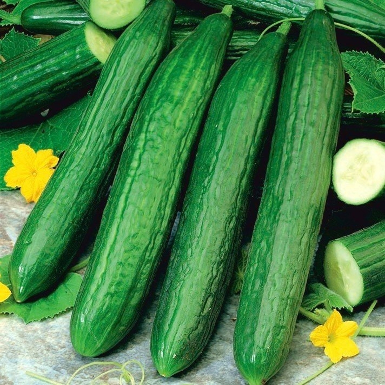 Иң тәмле кыяр сортлары исемлеге