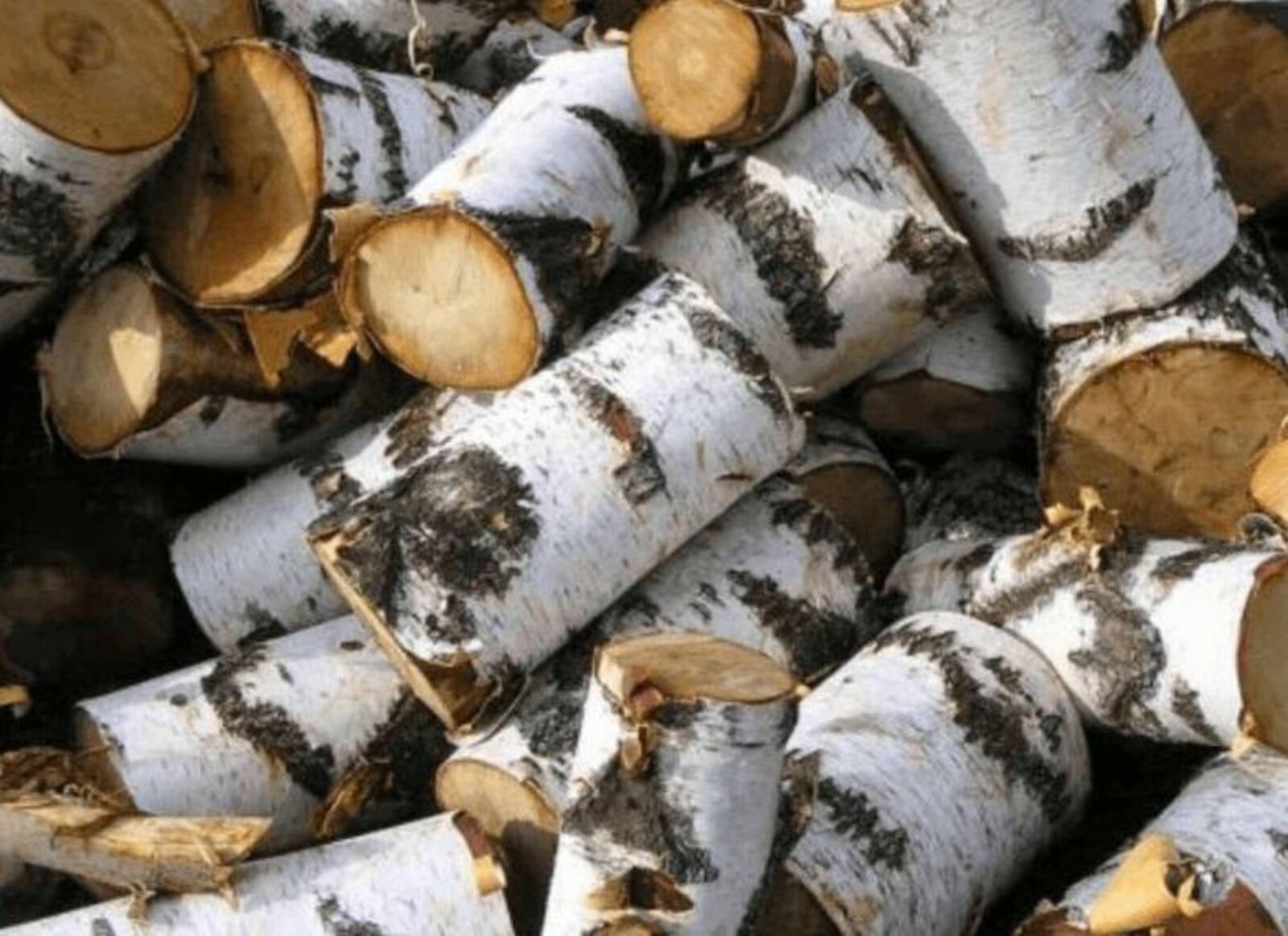 Мунча утыны (хикәя)