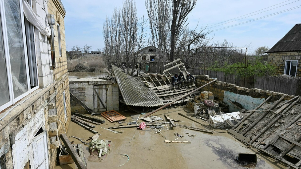 Мәрхәмәтлелек  Ярдәм күрсәтик!