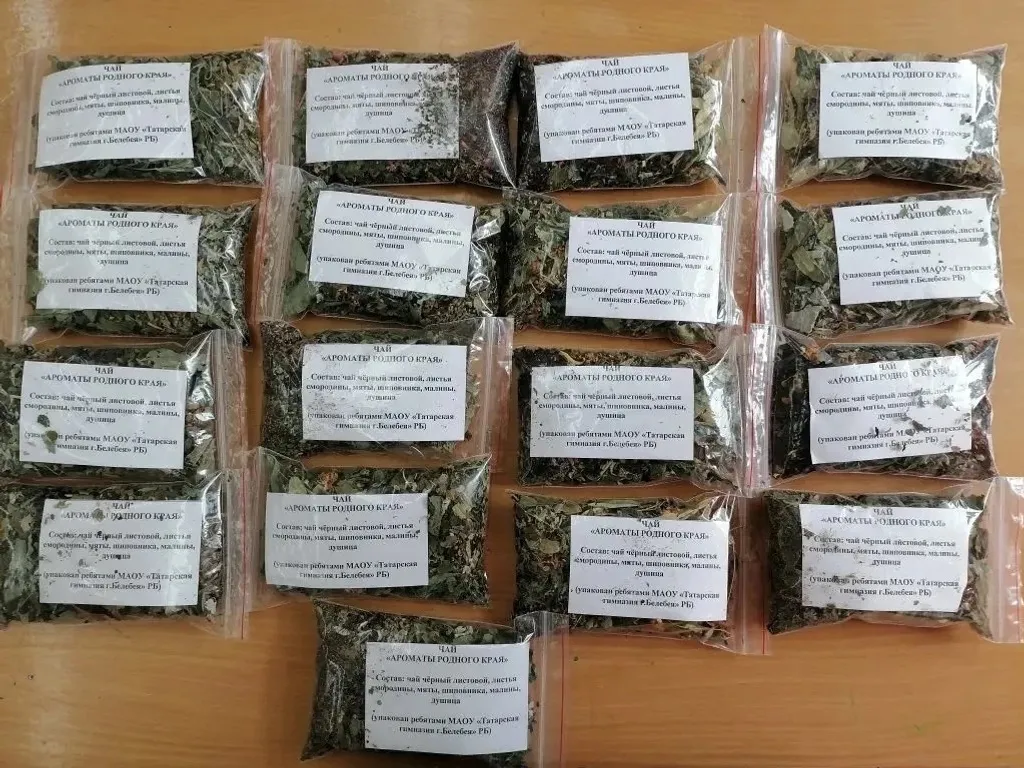 "Шатлык"та тормыш кайный