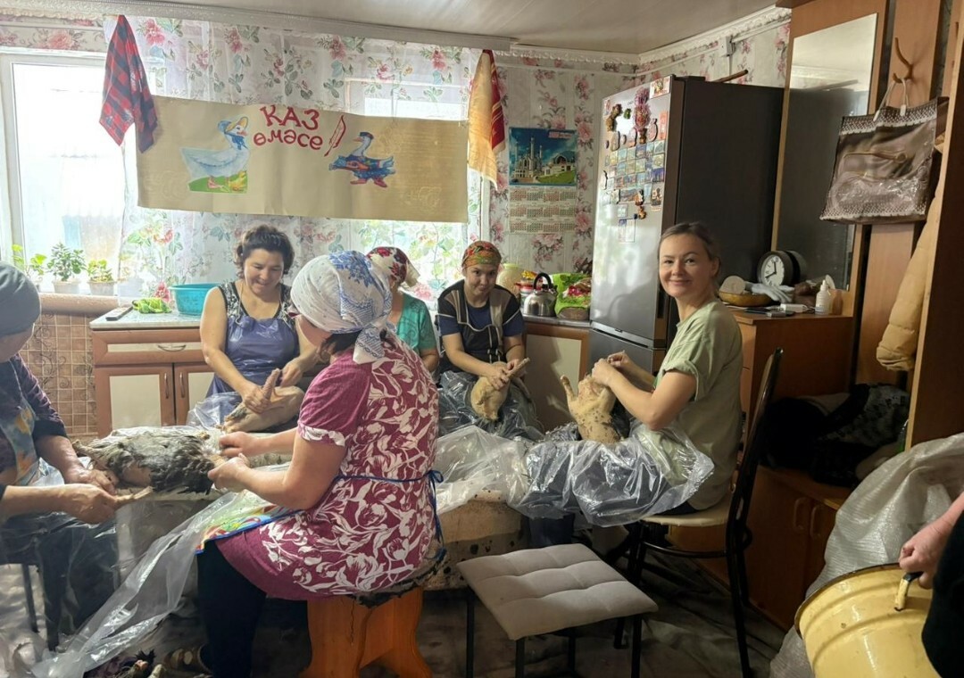 Авылда каз өмәсе