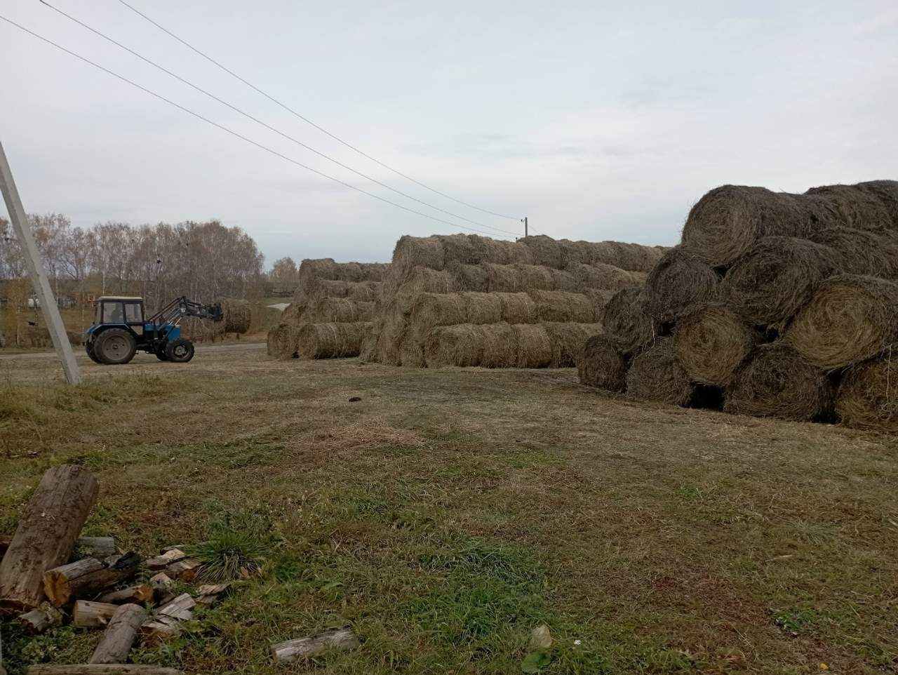 Малларны кышлату уңышлы үтте