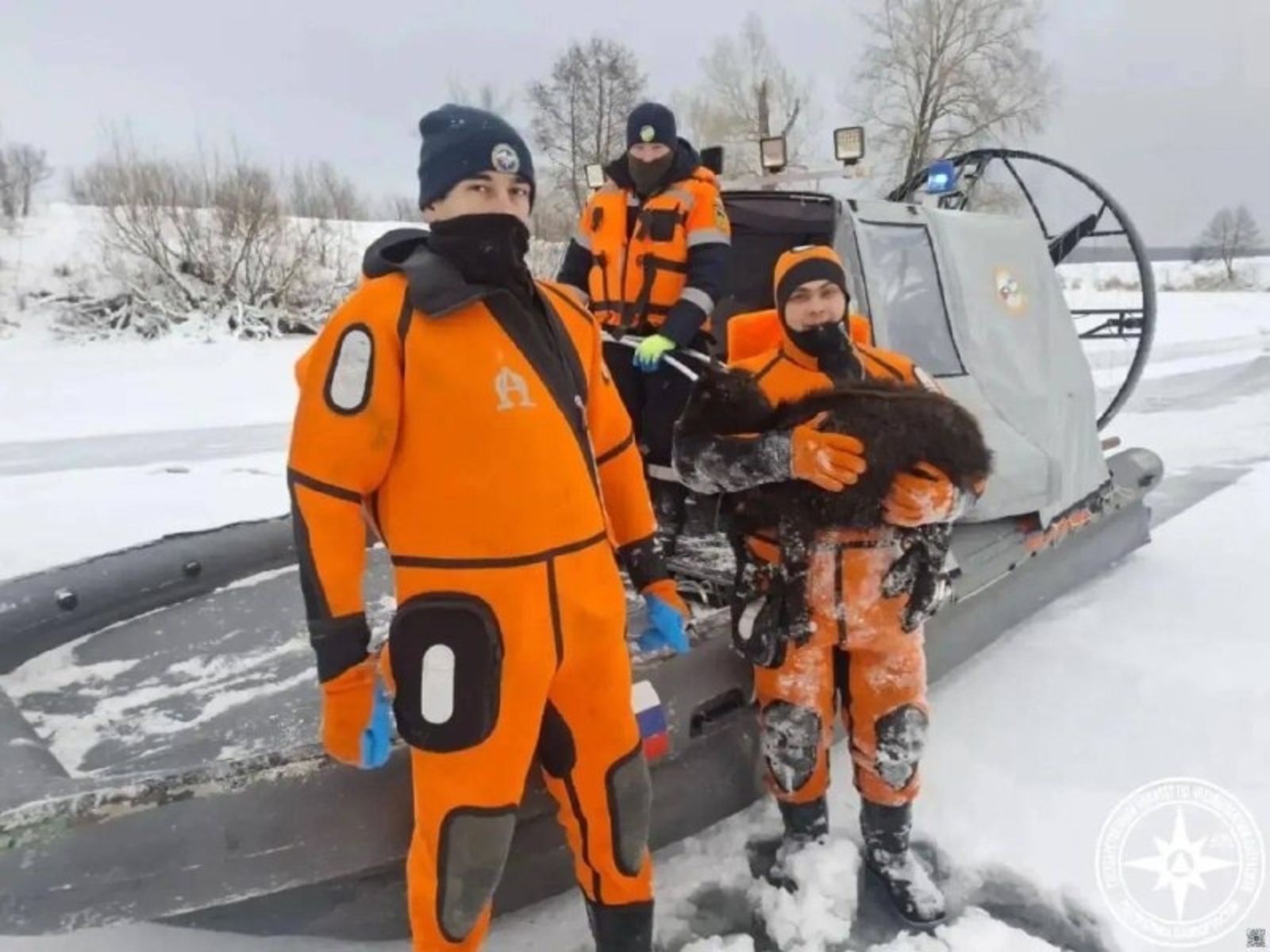 780 сарык һәлак булган