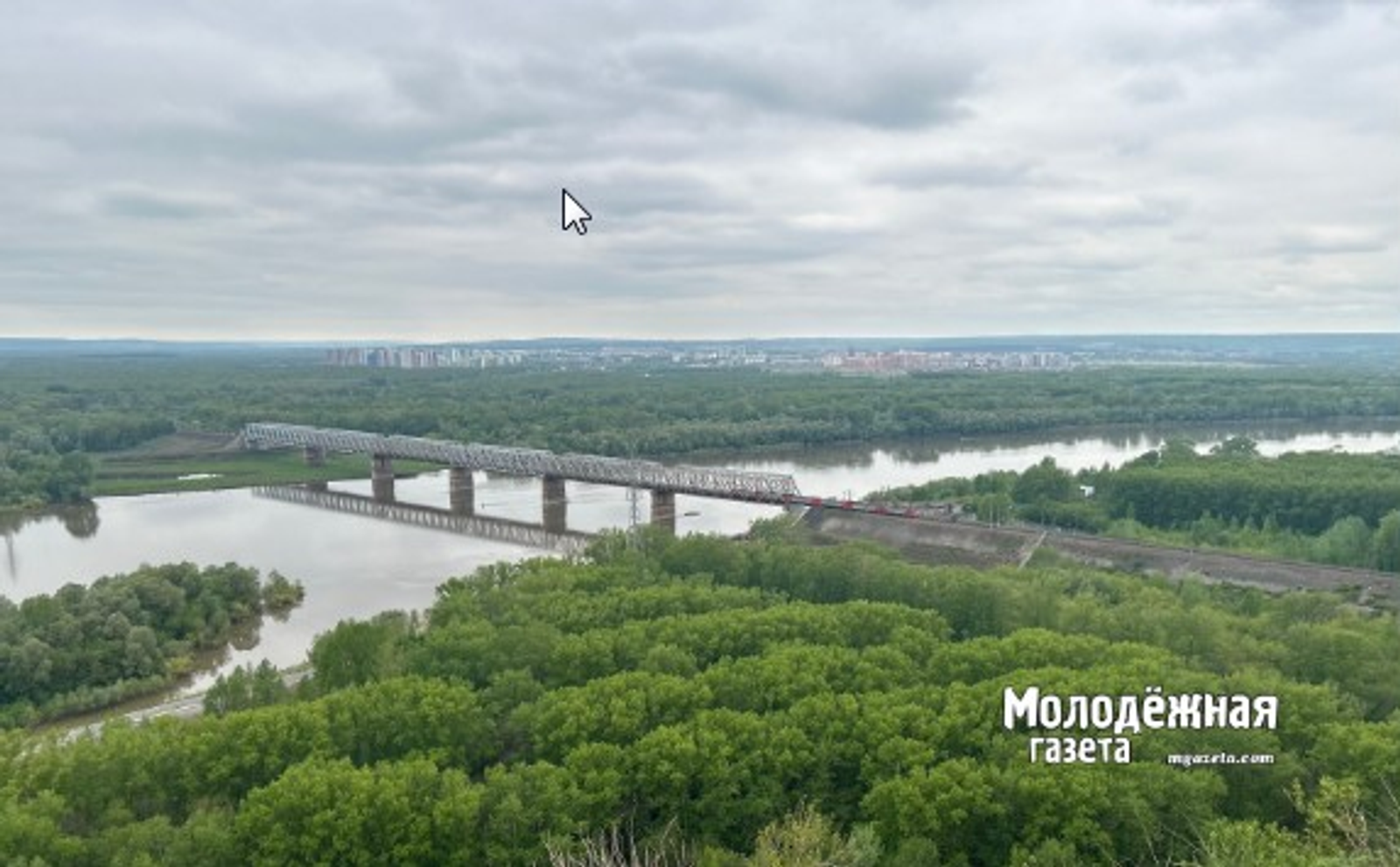 Башкирский диктант на скорости: акция пройдет в поезде «Ласточка»