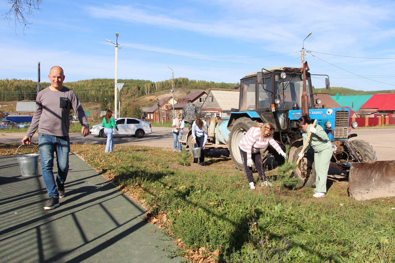 Нарат һәм каен үсентеләре утырттылар