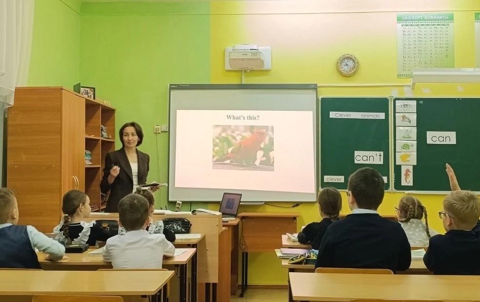 “Уңыш серләре": Бәләбәй районында иң яхшы укытучыны сайлыйлар