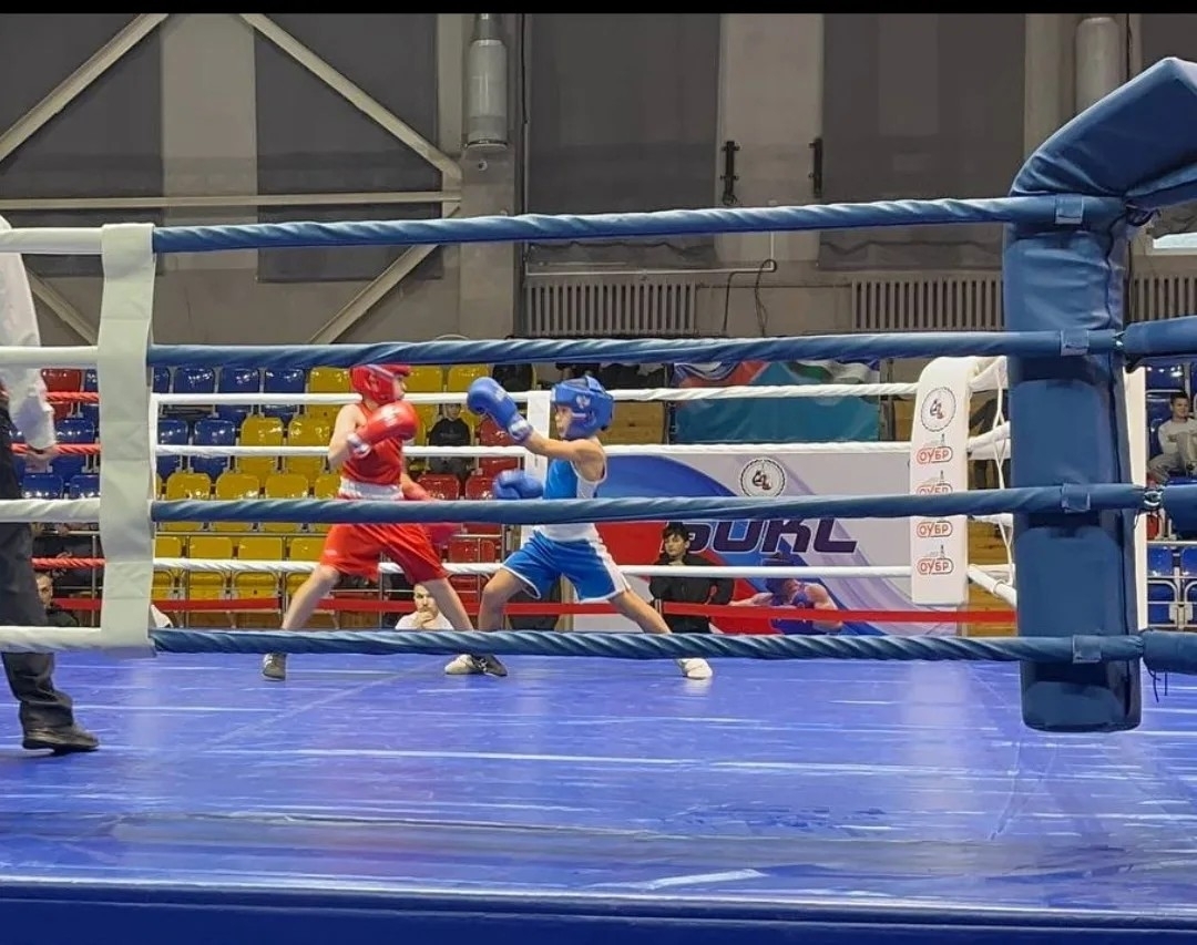 Кечкенә боксчылар – зур җиңүләр