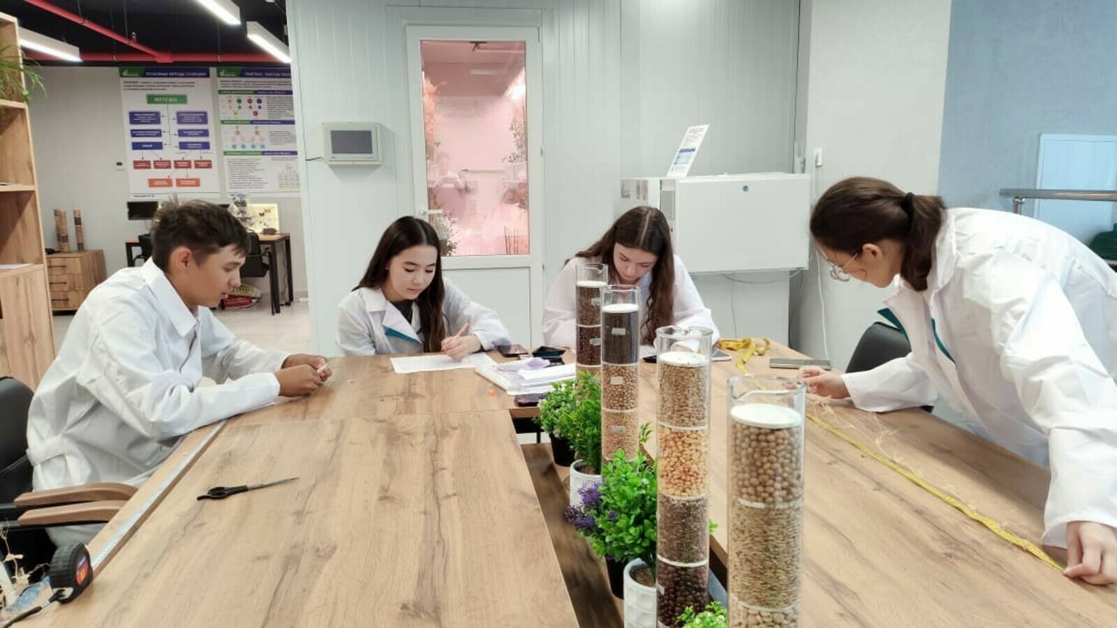 В Межвузовском кампусе Уфы завершен успешный эксперимент по гибридизации гороха