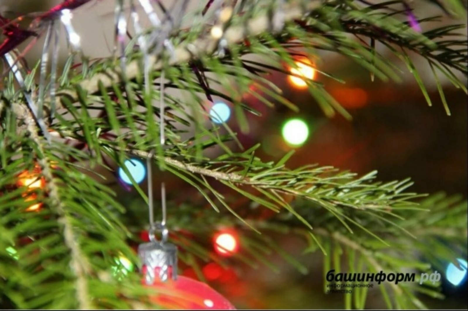 2025нең мөһим, көтелмәгән һәм кызыклы саннары