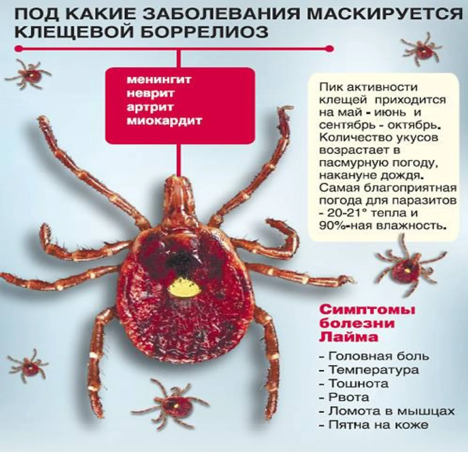 Сак булыгыз!  Талпаннарга каршы сакчыллык чаралары кулланыйк!