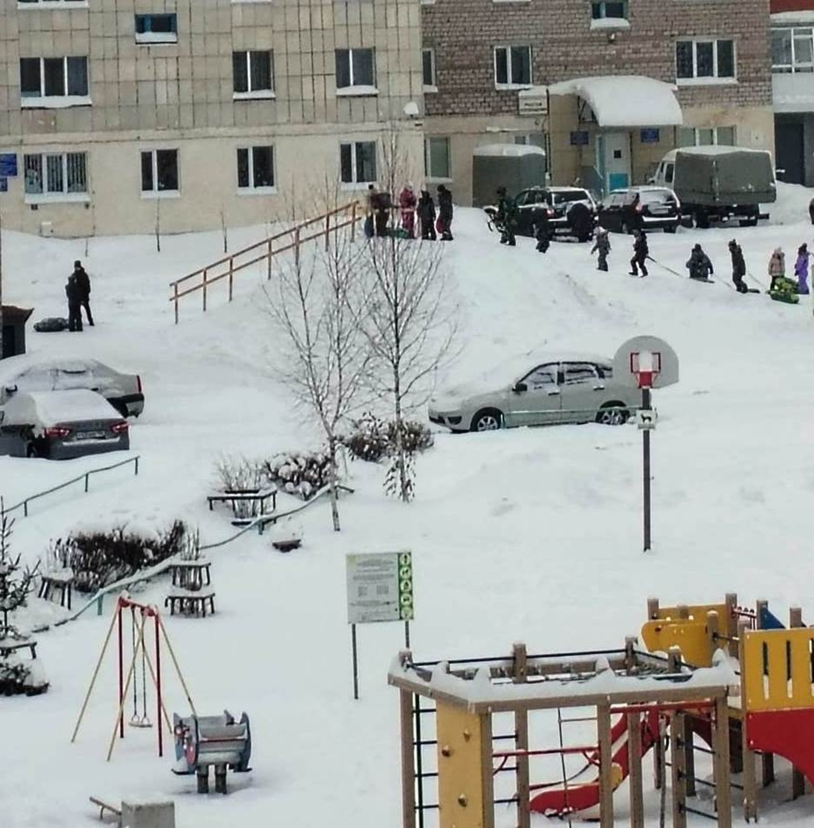 Тауны яраттылар